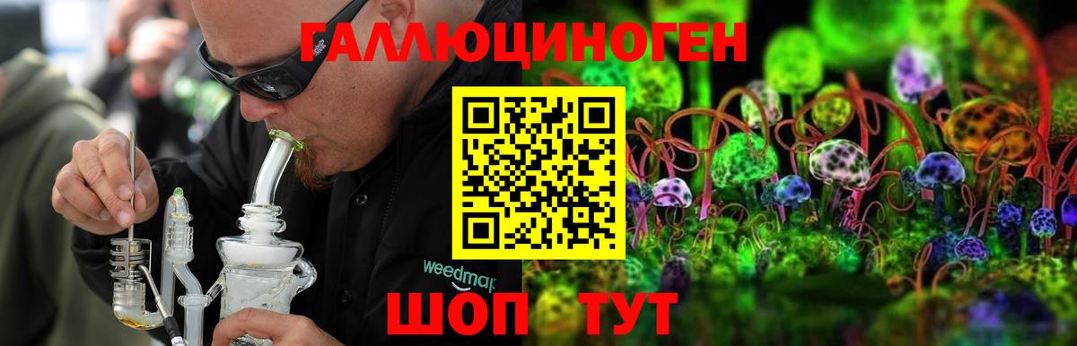 Псилоцибиновые грибы Psilocybe  Псилоцибиновые грибы прущие грибы  Вход с VPN  Кировск 
